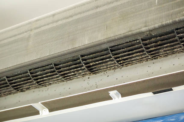 Best Affordable Air Duct Cleaning  in Cornelia, GA